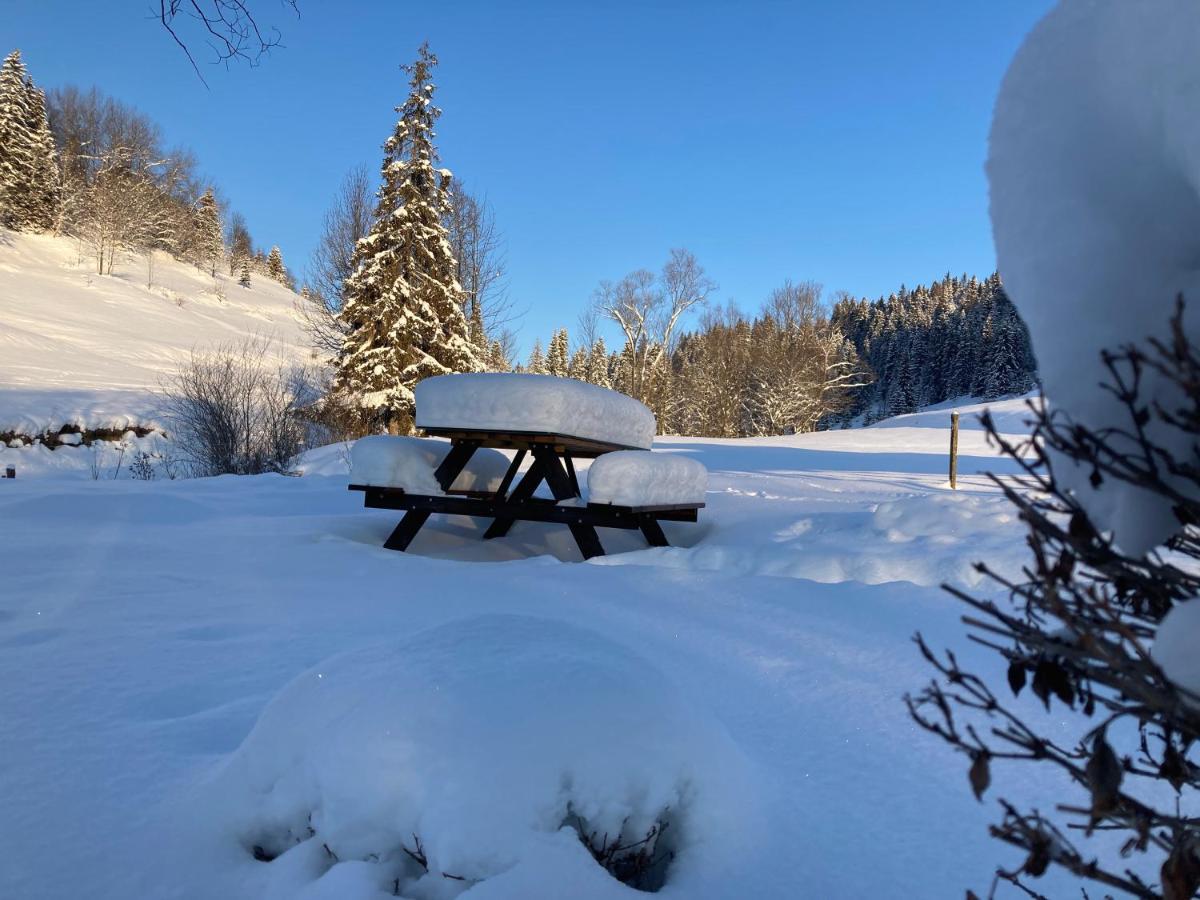 Luxury Chalet Katarinka, Belianske Tatry Osturna Екстериор снимка